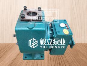 灑(sǎ)水車泵(beng)